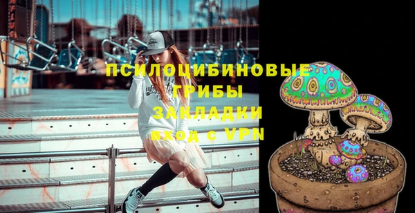 сатива Лихославль