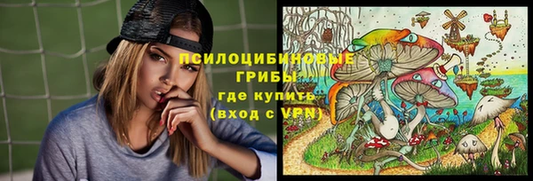 дурь Ладушкин