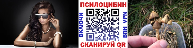 Галлюциногенные грибы Psilocybe продажа наркотиков блэк спрут сайт Льгов
